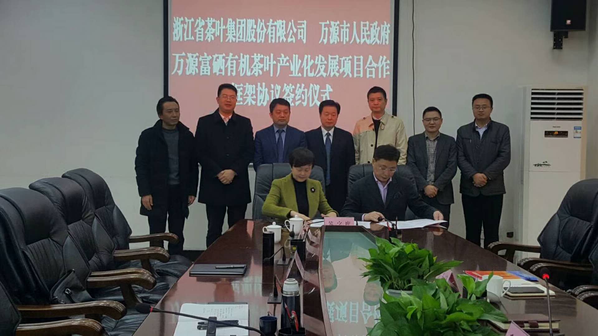 浙茶集团签约四川万源茶产业项目 助力乡村振兴